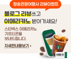 블로그리뷰